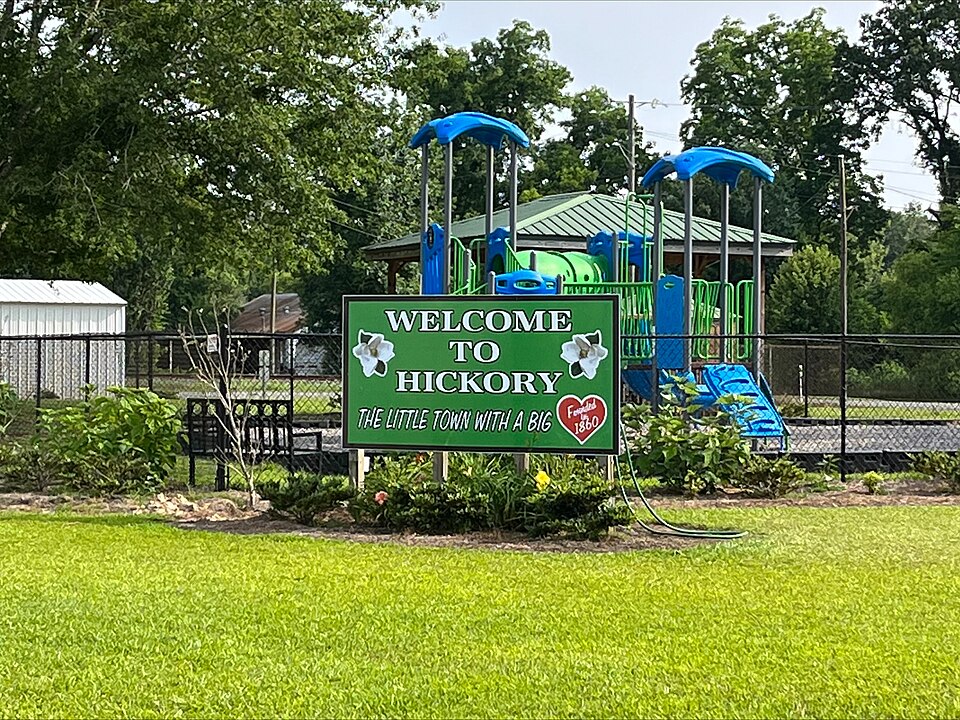 Hickory