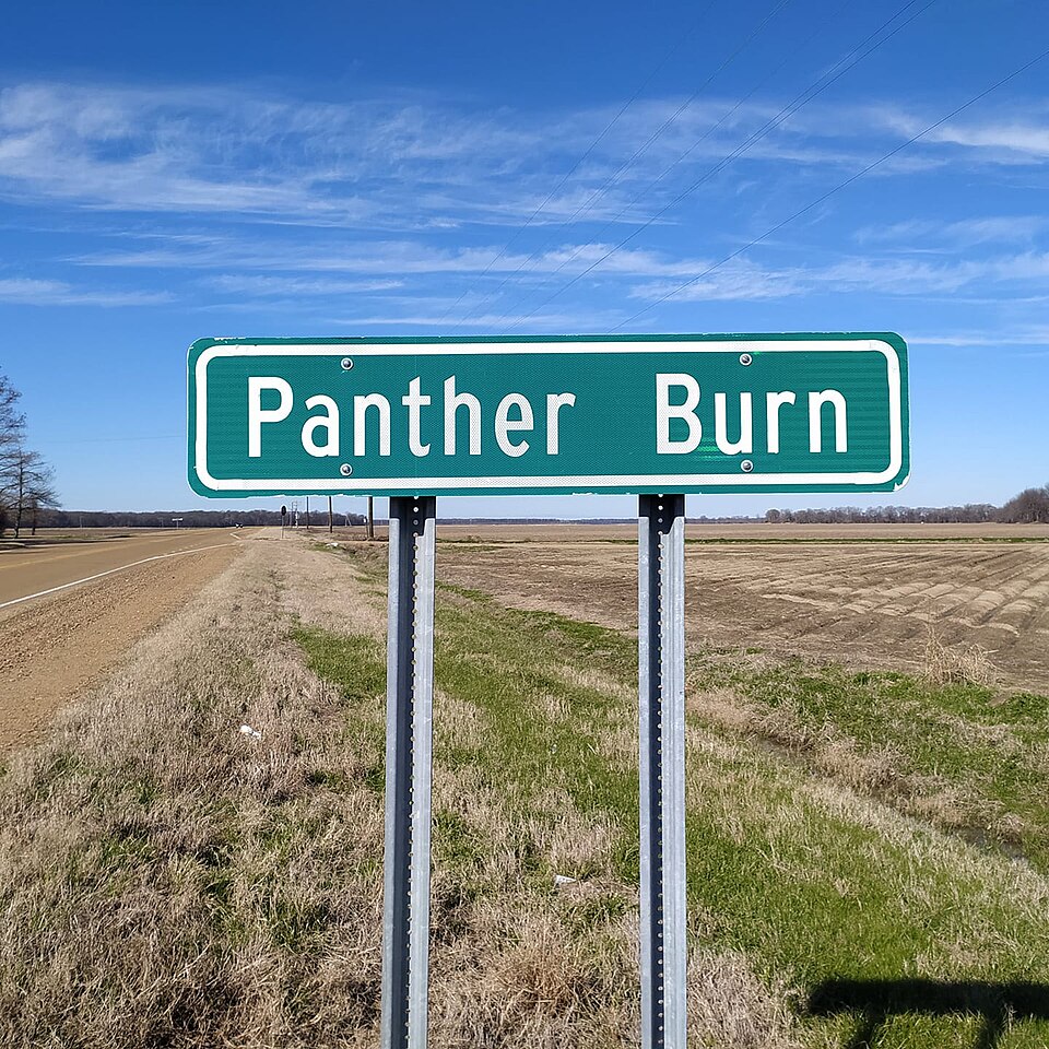 Panther Burn