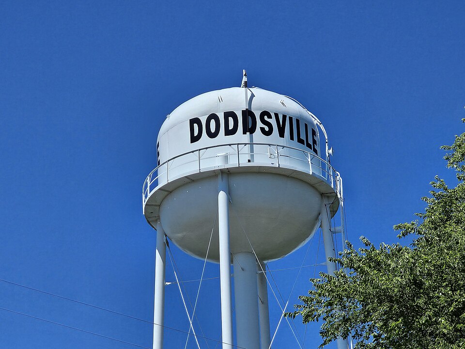 Doddsville